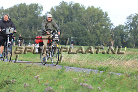 YZ06513.jpg